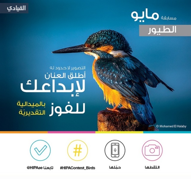 جائزة حمدان بن محمد للتصوير تعيد إطلاق مسابقة انستغرام للجمهور